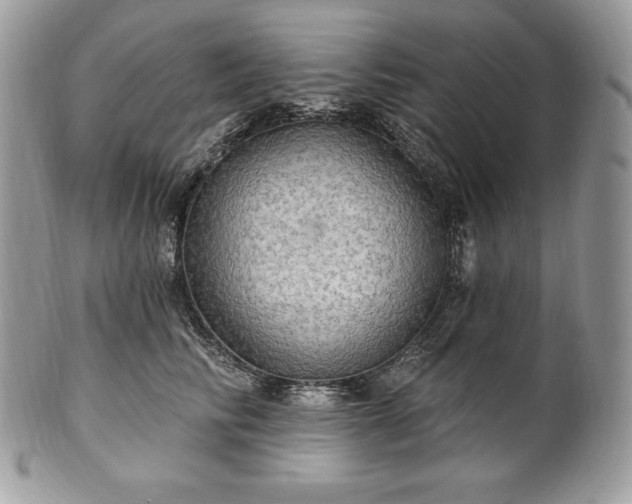 X0000101160710200807071158