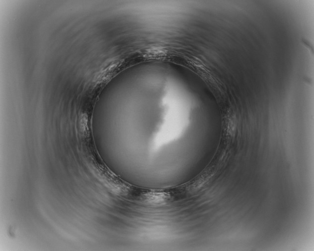 X0000101160711200807071158