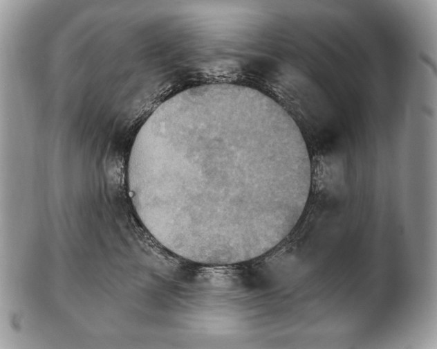 X0000101160713200807071158