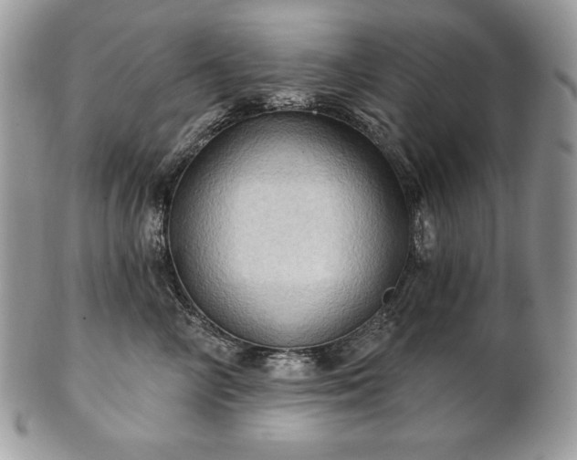 X0000101160714200807071158