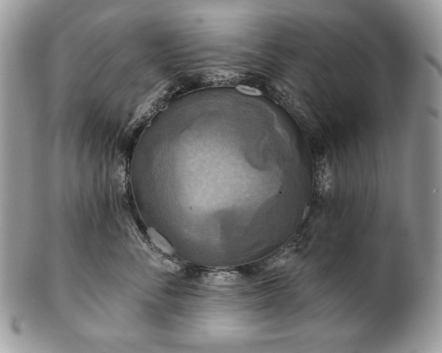 X0000101160716200807071158