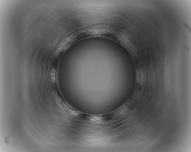 X0000101160718200807071158