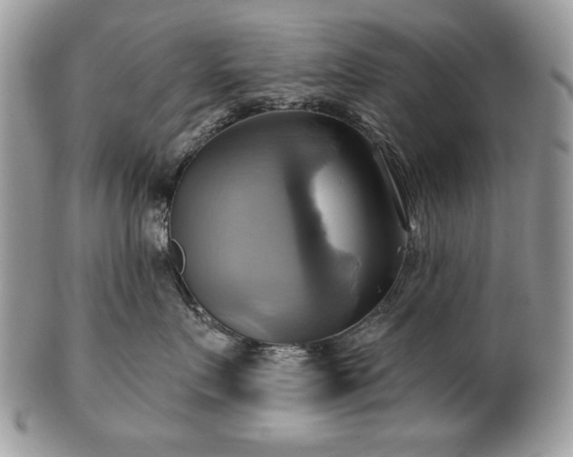 X0000101160719200807071158