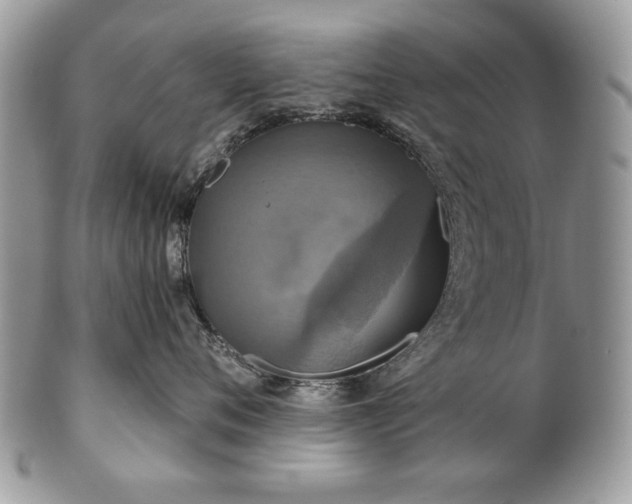 X0000101160720200807071158