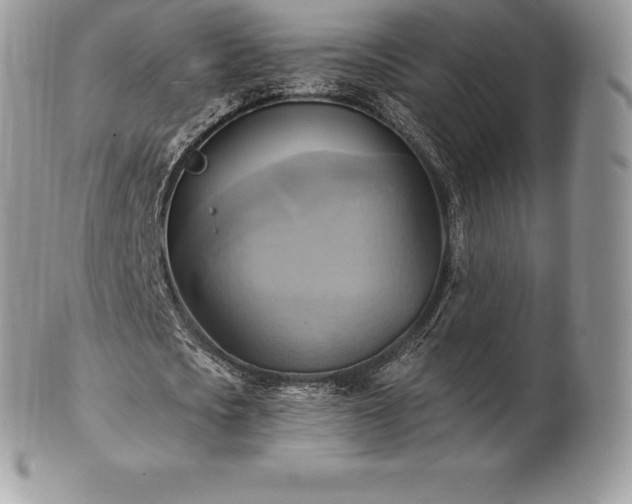 X0000101160721200807071157