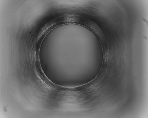 X0000101160722200807071157