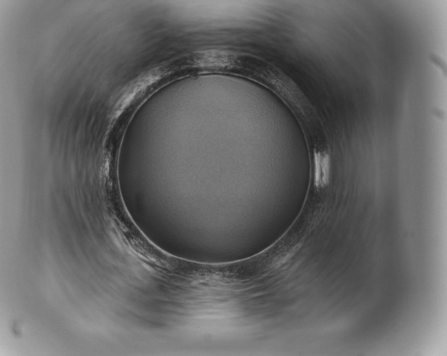 X0000101160723200807071157