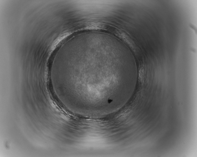 X0000101160724200807071157