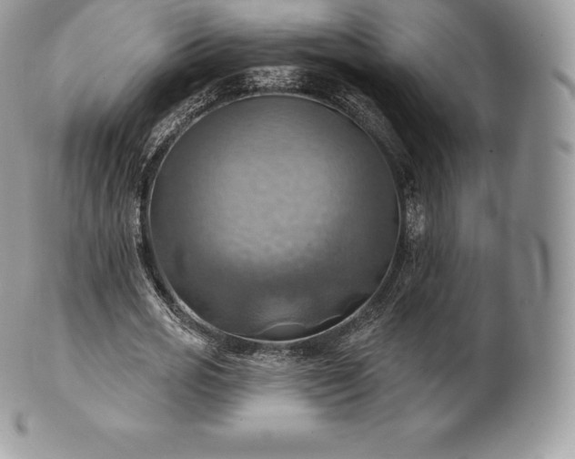 X0000101160725200807071157