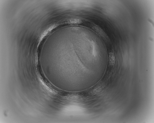 X0000101160726200807071157