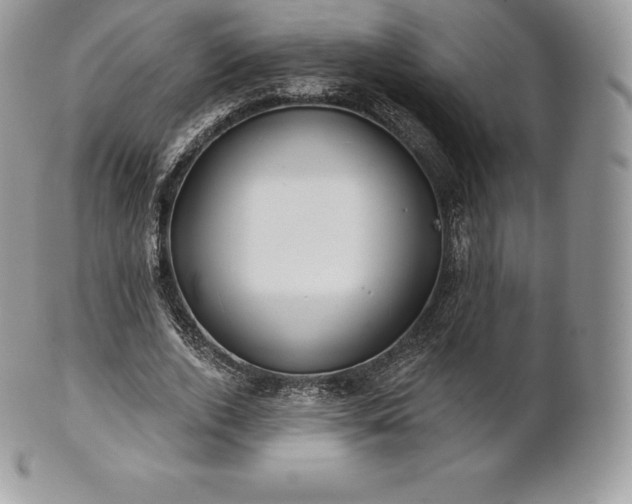 X0000101160728200807071157