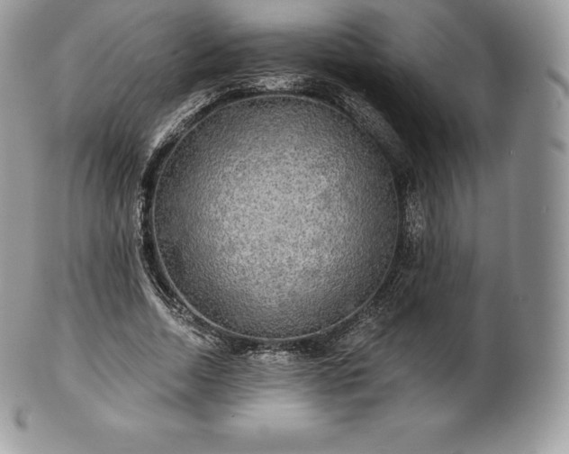 X0000101160730200807071157