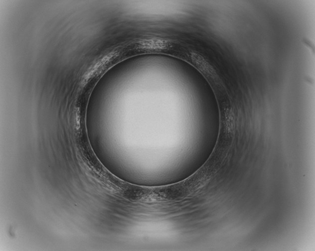 X0000101160731200807071157