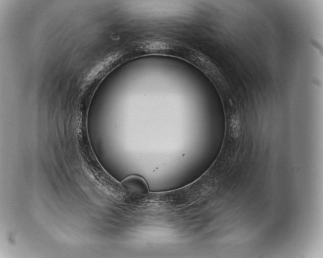 X0000101160732200807071157