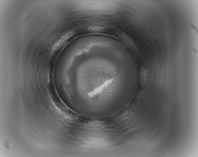 X0000101160734200807071157