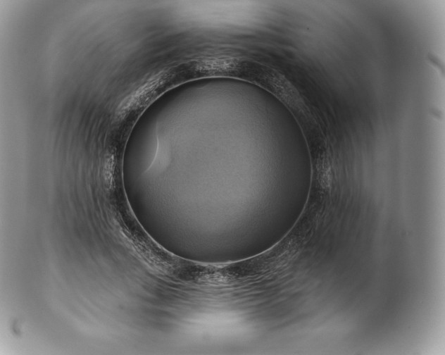 X0000101160735200807071157