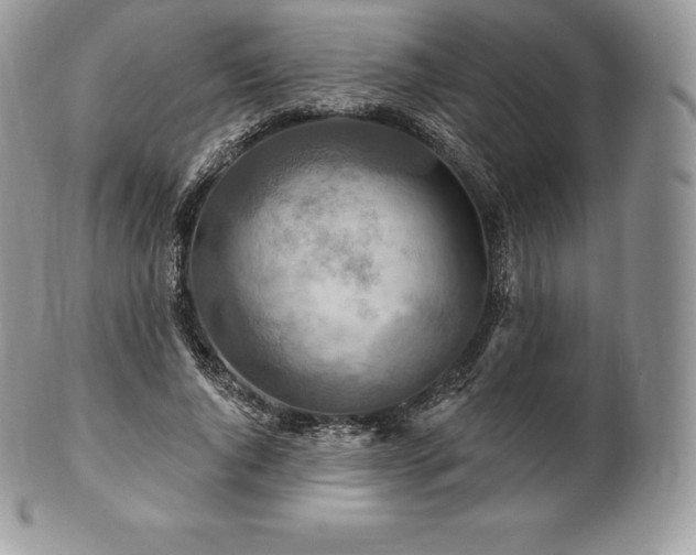 X0000101160736200807071157