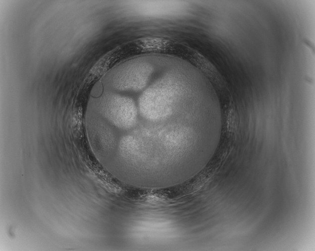 X0000101160737200807071157