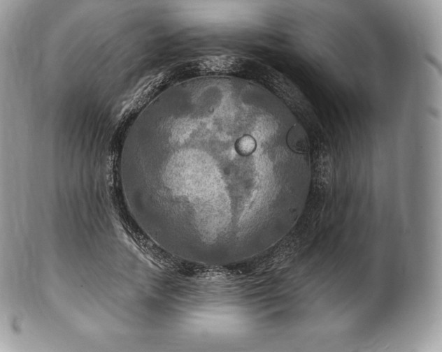 X0000101160738200807071157