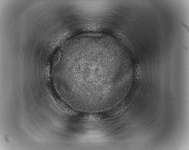 X0000101160739200807071157