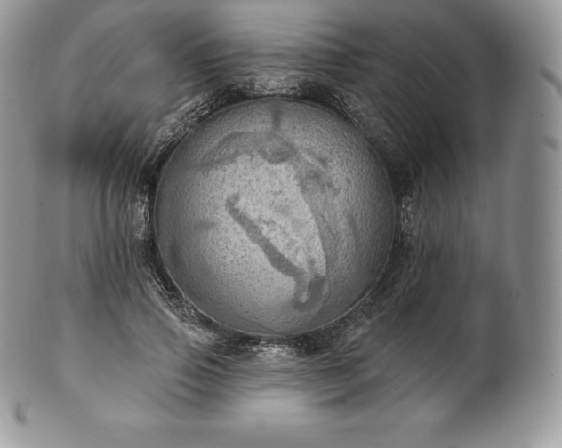 X0000101160741200807071157