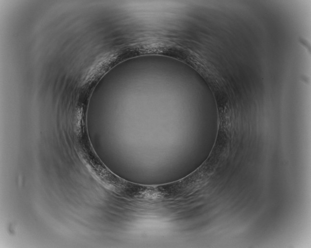 X0000101160742200807071157