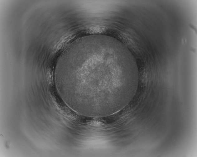 X0000101160743200807071157