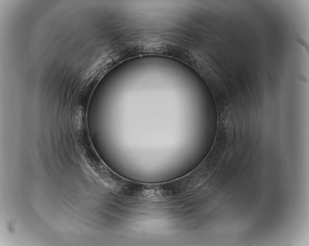 X0000101160744200807071157