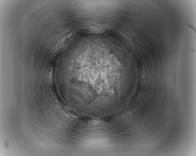 X0000101160745200807071157