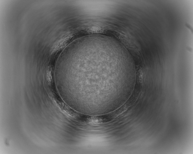 X0000101160746200807071157