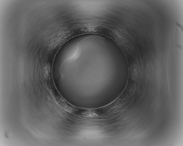 X0000101160747200807071157