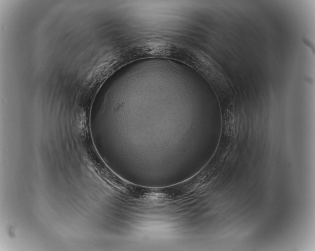 X0000101160748200807071157