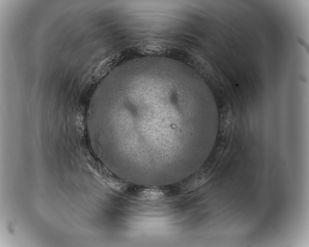 X0000101160749200807071157