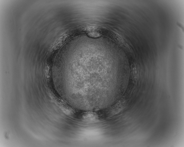 X0000101160750200807071157