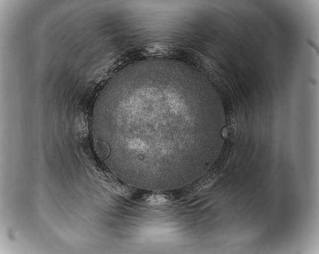 X0000101160751200807071157