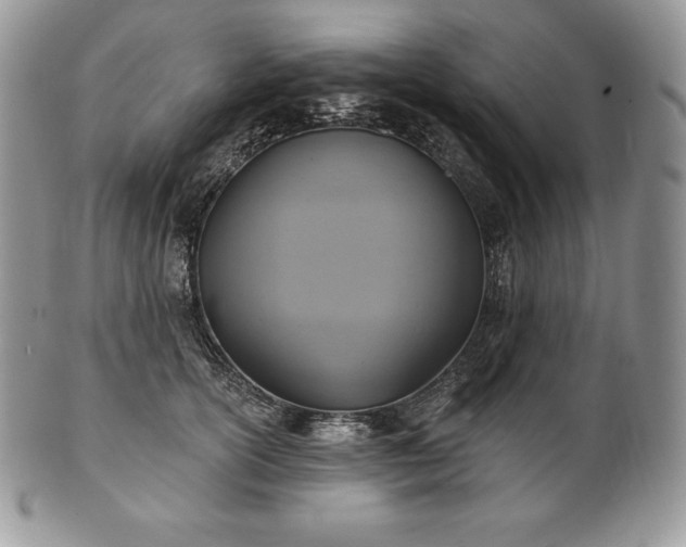 X0000101160754200807071158