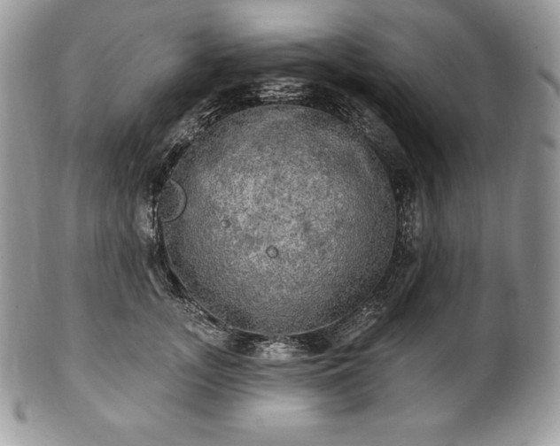 X0000101160755200807071158