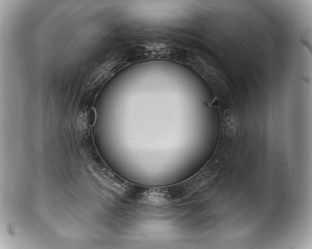 X0000101160756200807071158