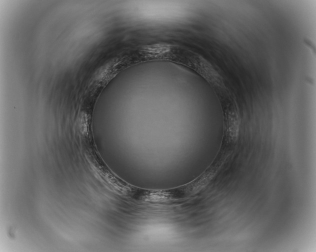 X0000101160758200807071158