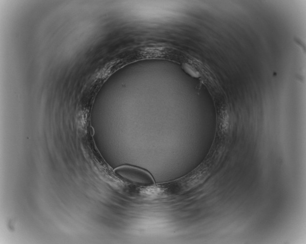 X0000101160759200807071158