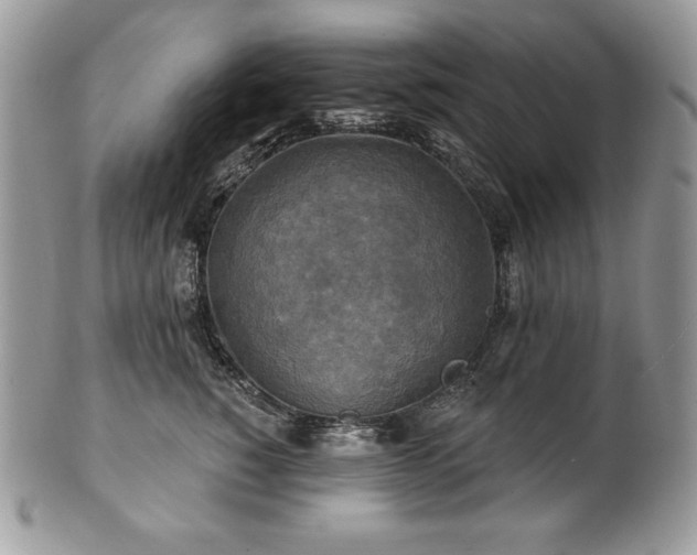 X0000101160760200807071158