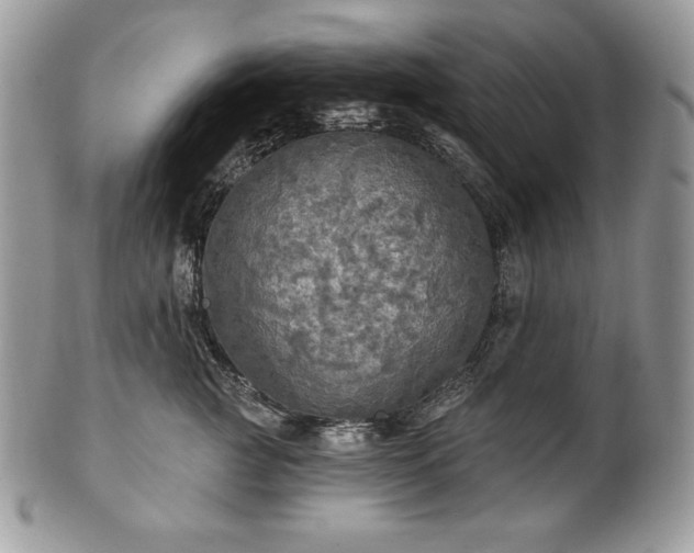 X0000101160761200807071158