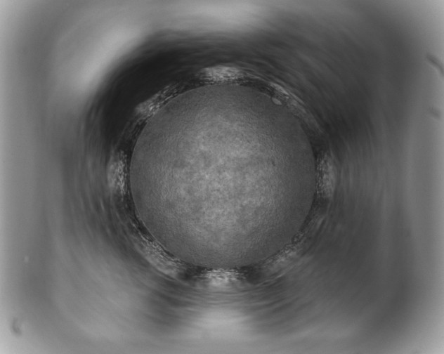 X0000101160762200807071158