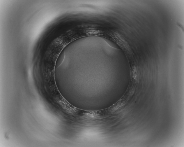 X0000101160763200807071158