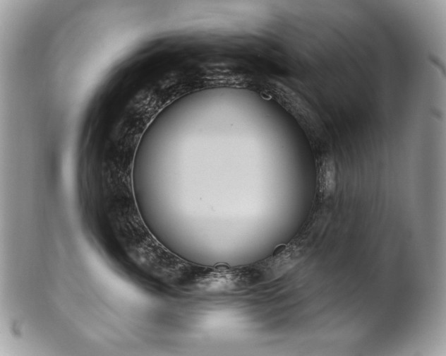 X0000101160764200807071158