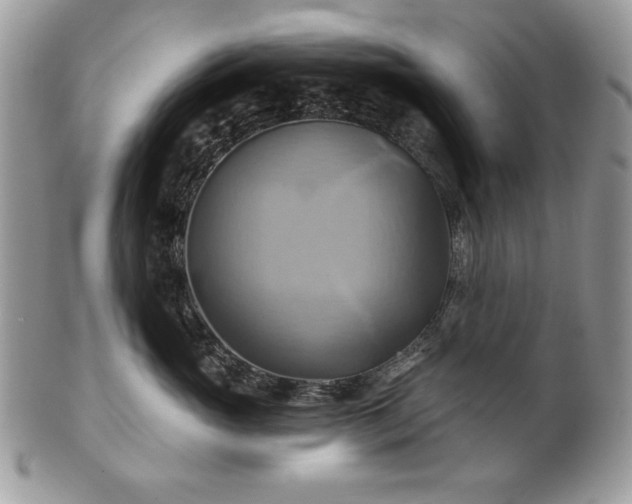 X0000101160765200807071158