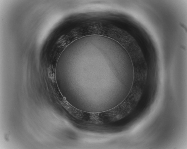 X0000101160766200807071158