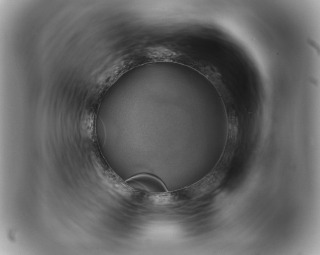 X0000101160767200807071158