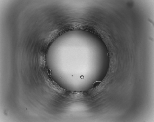 X0000101160768200807071158