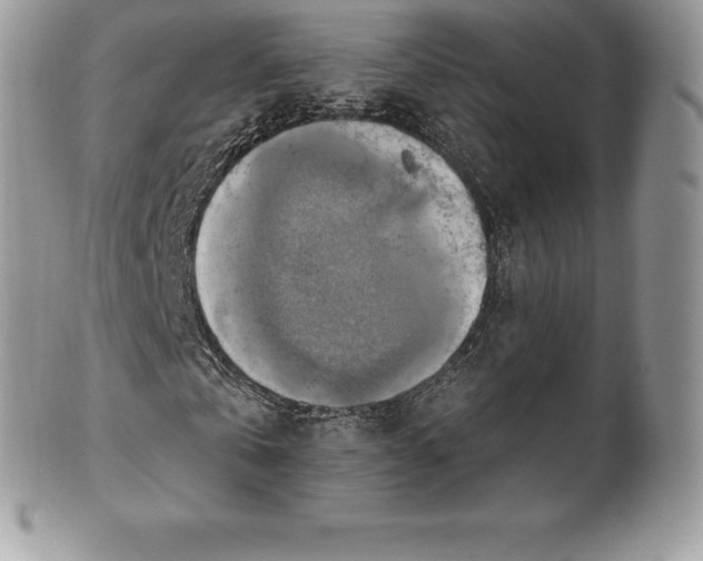 X0000101160769200807071157